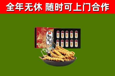 贵定回收冬虫夏草价格